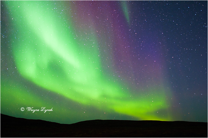 Aurora Borealis by Dr. Wayne Lynch &copy;